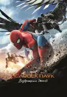 Человек-паук: Возвращение домой смотреть онлайн (2017)